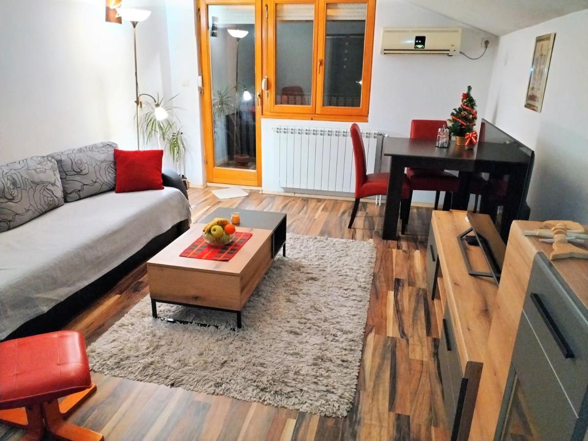 Apartment Viktor Белград Екстериор снимка