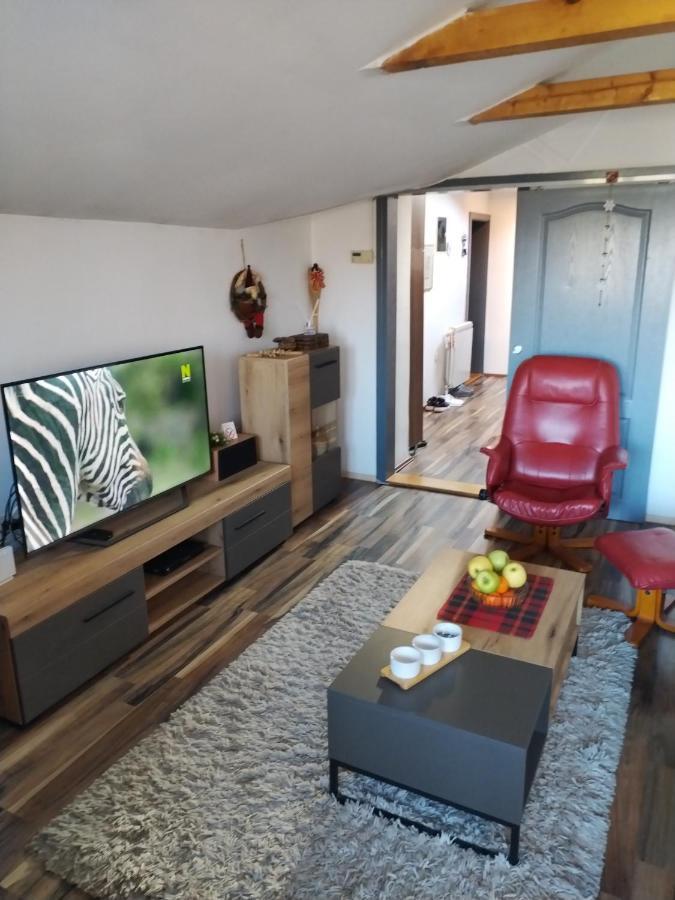 Apartment Viktor Белград Екстериор снимка