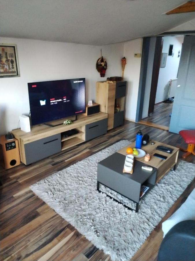 Apartment Viktor Белград Екстериор снимка