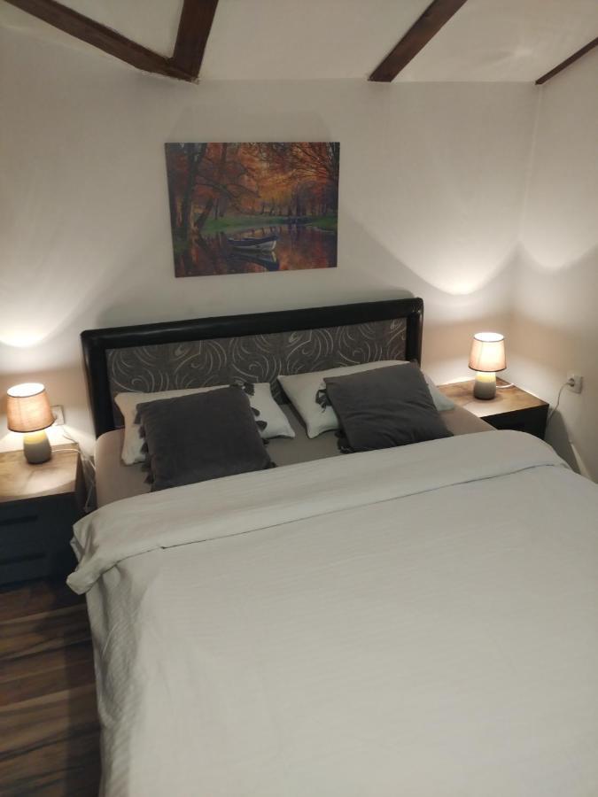 Apartment Viktor Белград Екстериор снимка