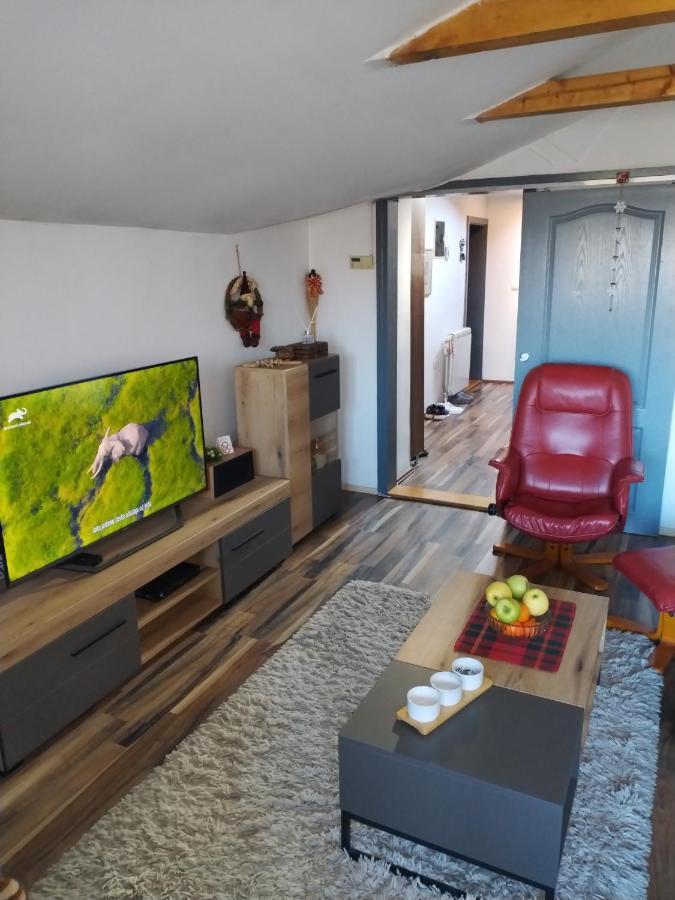 Apartment Viktor Белград Екстериор снимка